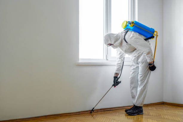 Best Ant Control Services  in Boley, OK