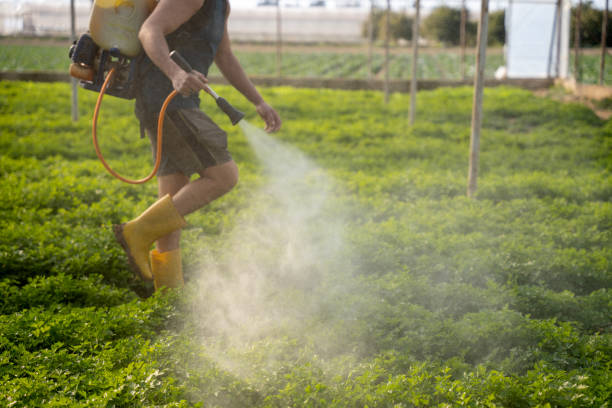 Reliable Boley, OK Pest Control Solutions