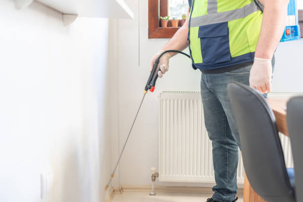Best Termite Control Services  in Boley, OK