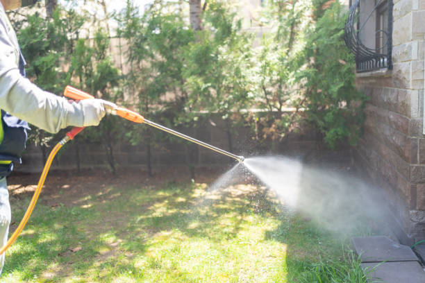 Pest Prevention Services in Boley, OK