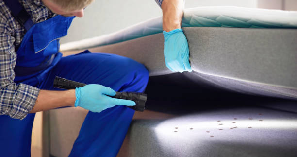 Best Affordable Pest Control Services  in Boley, OK